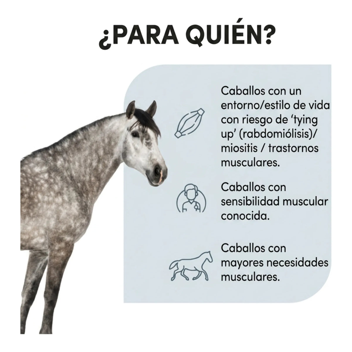 Infografía sobre a qué caballos va dirigido Myostem Protec Audevard para caballos, con caballo gris