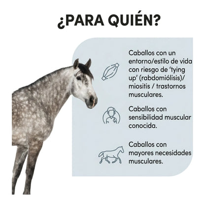 Infografía sobre a qué caballos va dirigido Myostem Protec Audevard para caballos, con caballo gris