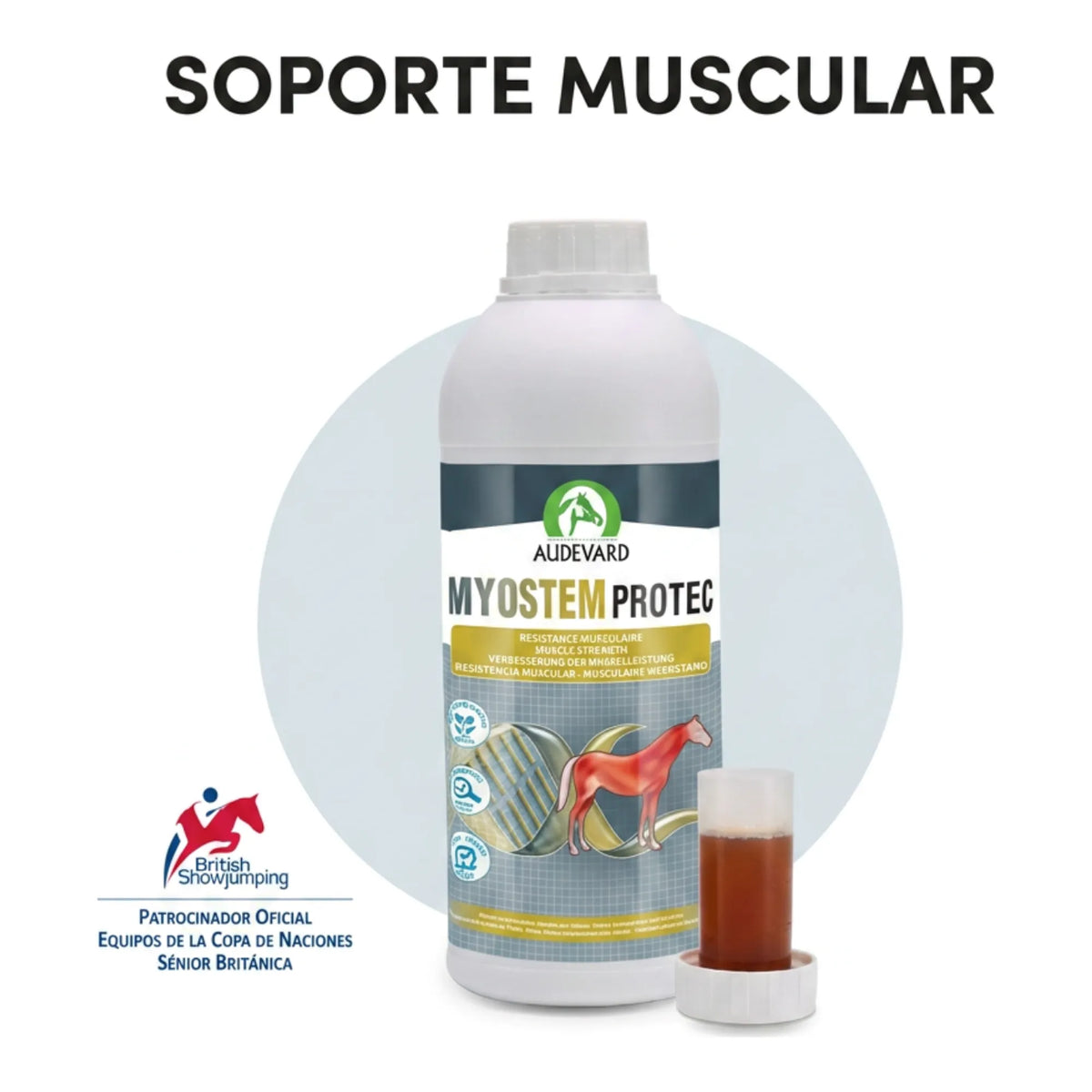 Infografía de soporte muscular con la botella de Myostem Protec
