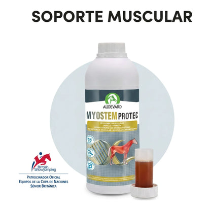 Infografía de soporte muscular con la botella de Myostem Protec