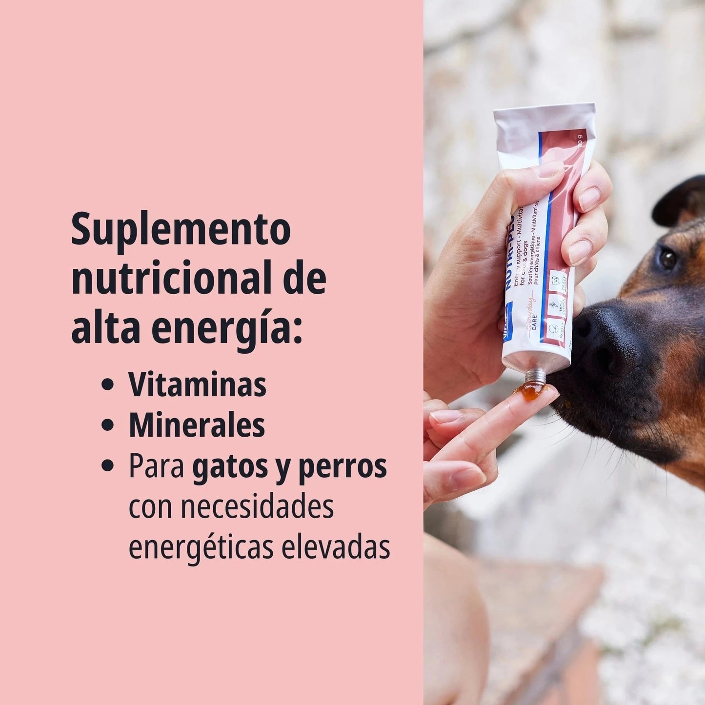 Persona administrando Nutri-Plus Gel Virbac directamente desde el tubo sobre su dedo a un perro pastor belga Malinois, con texto suplemento nutricional de alta energía con vitaminas y minerales para gatos y perros