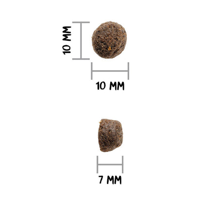 Tamaño de la croqueta del pienso Ownat Grain Free Prime Oil Fish: 10 mm de ancho, 10 mm de alto y 5 mm de grosor, diseñada para facilitar la masticación y proteger la salud bucodental en perros adultos.
