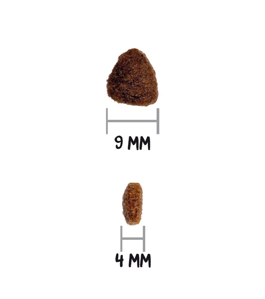Croquetas del pienso Ownat Classic Kitten para gatitos, EAN 8429037016266