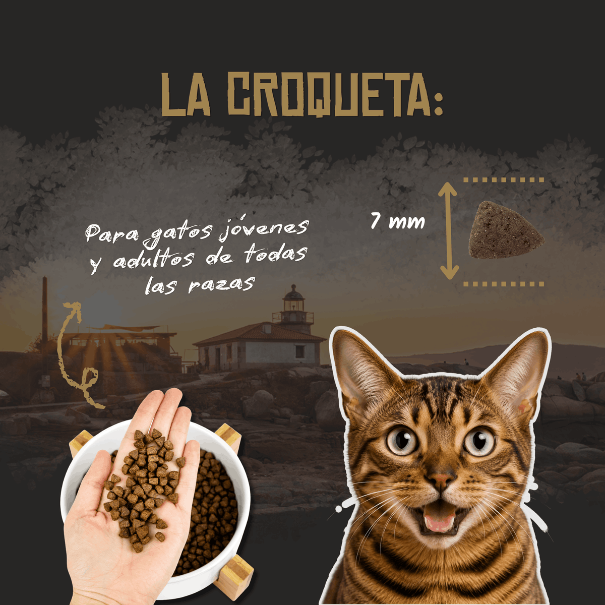 Croqueta de 7 mm del pienso Lenda Farm Poultry para gatos, EAN 8435578201498 y 8435578201757