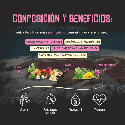Composición y beneficios del pienso Lenda Kitten para gatitos, EAN 8435578201504