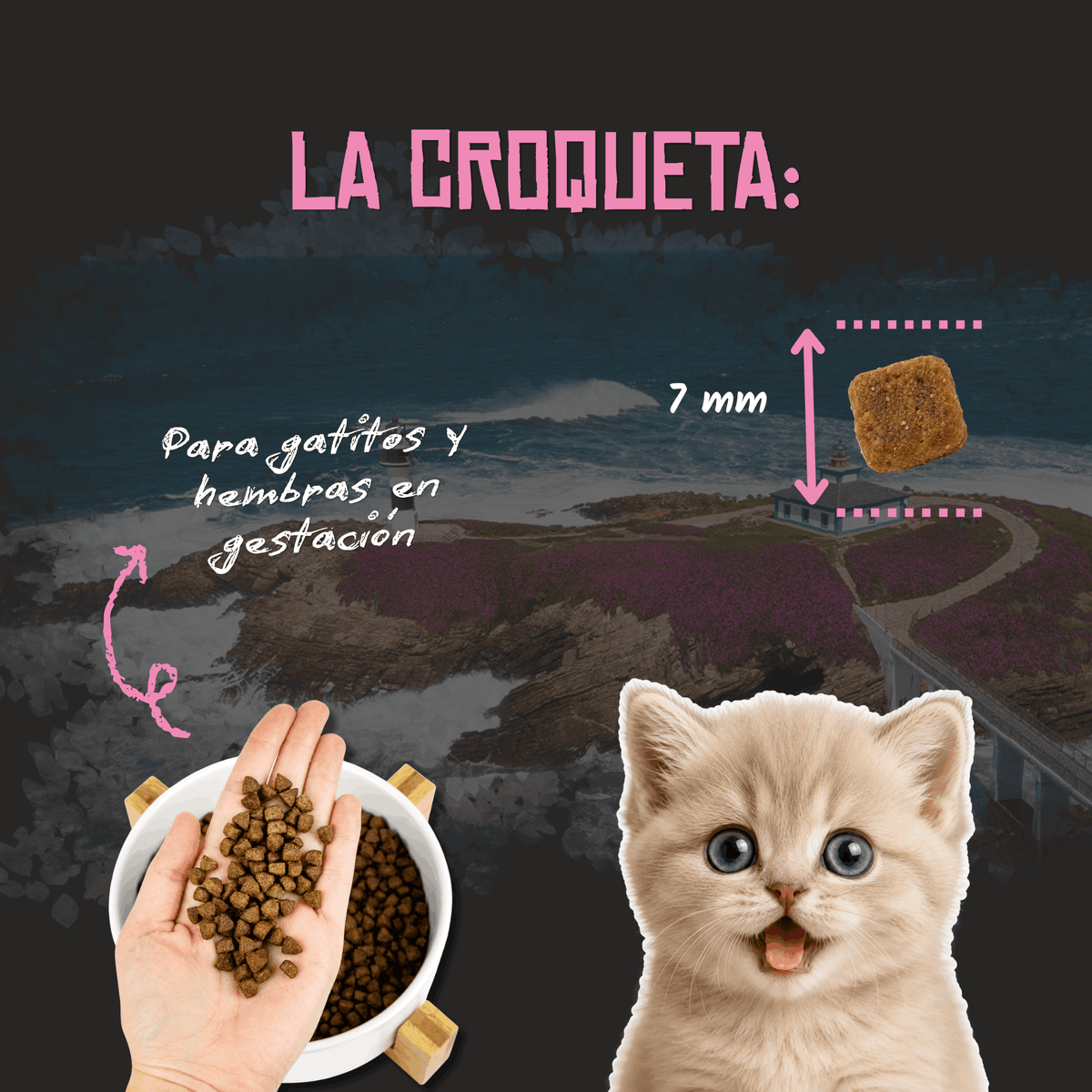 Croqueta de 7 mm del pienso Lenda Kitten para gatitos, EAN 8435578201504