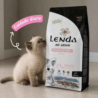 Gatito junto al saco, EAN 8435578201504