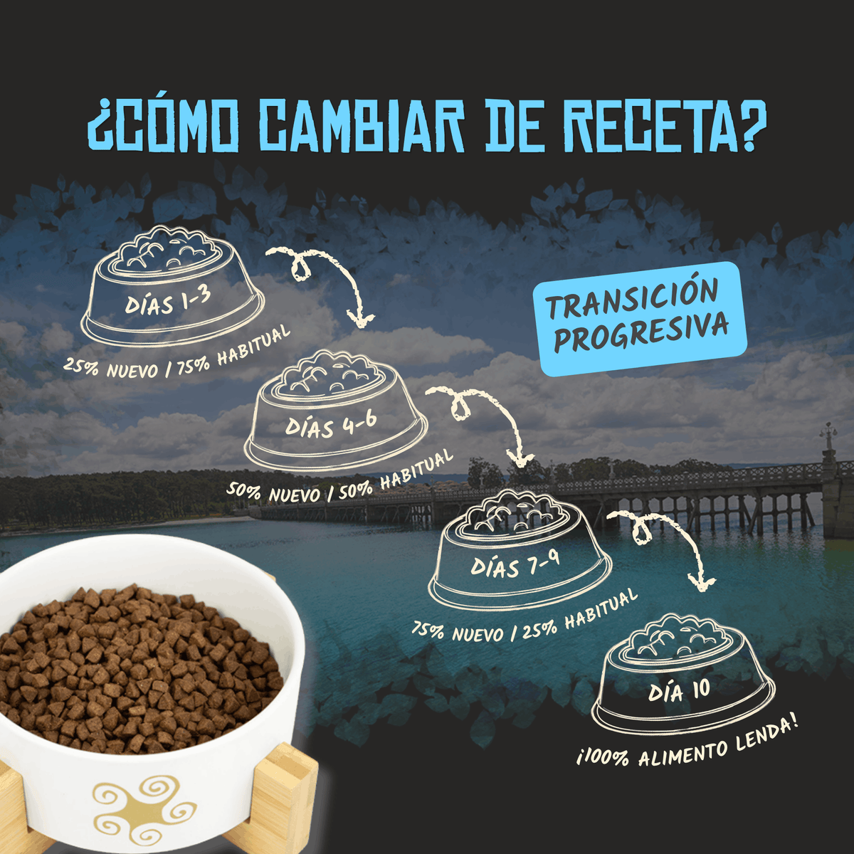 Guía oficial para cambiar de receta en diez días, EAN 8435578201511 y 8435578201771
