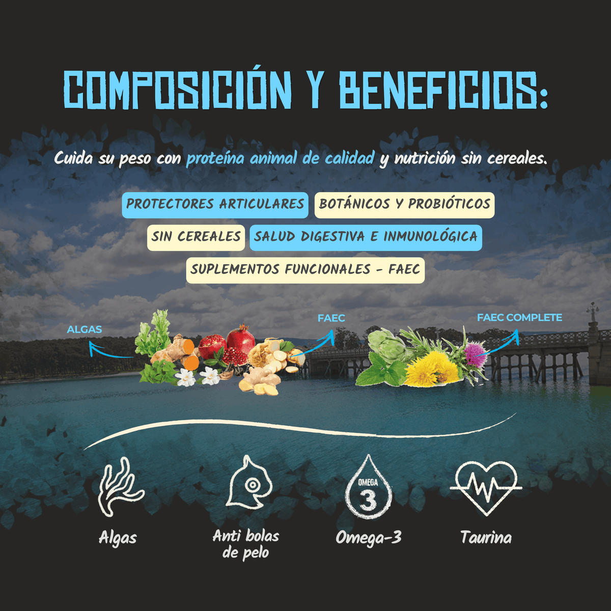 Composición y beneficios del pienso Lenda Light Sterilized para gatos, EAN 8435578201511 y 8435578201771