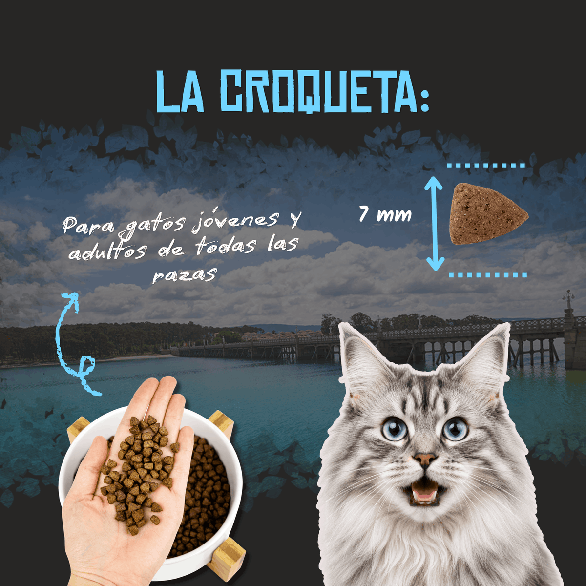 Croqueta de 7 mm del pienso Lenda Light Sterilized para gatos, EAN 8435578201511 y 8435578201771