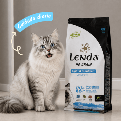 Gato adulto junto al saco, EAN 8435578201511 y 8435578201771
