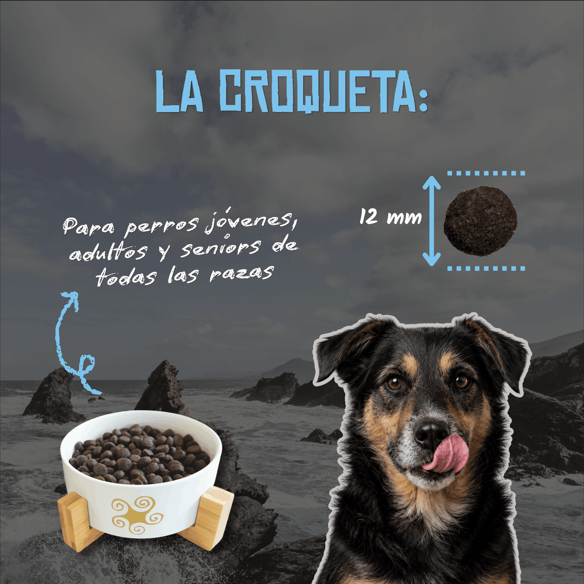 Croqueta de 12 mm del pienso Lenda Nature atún para perros, EAN 8431539369030 y 8431539369122