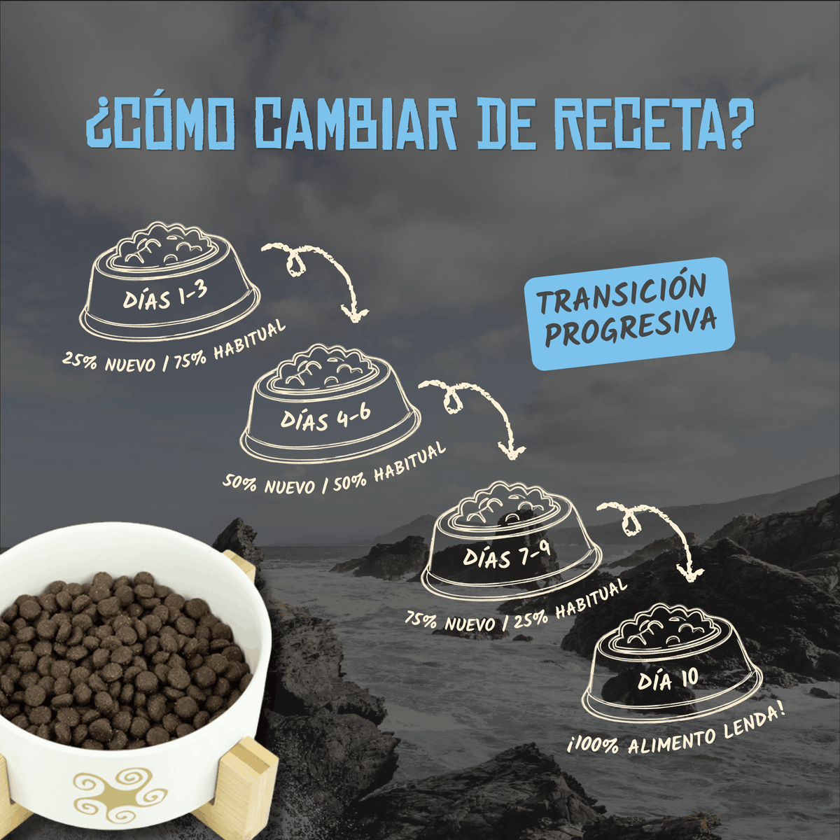 Guía oficial para cambiar de receta en diez días, EAN 8431539369030 y 8431539369122