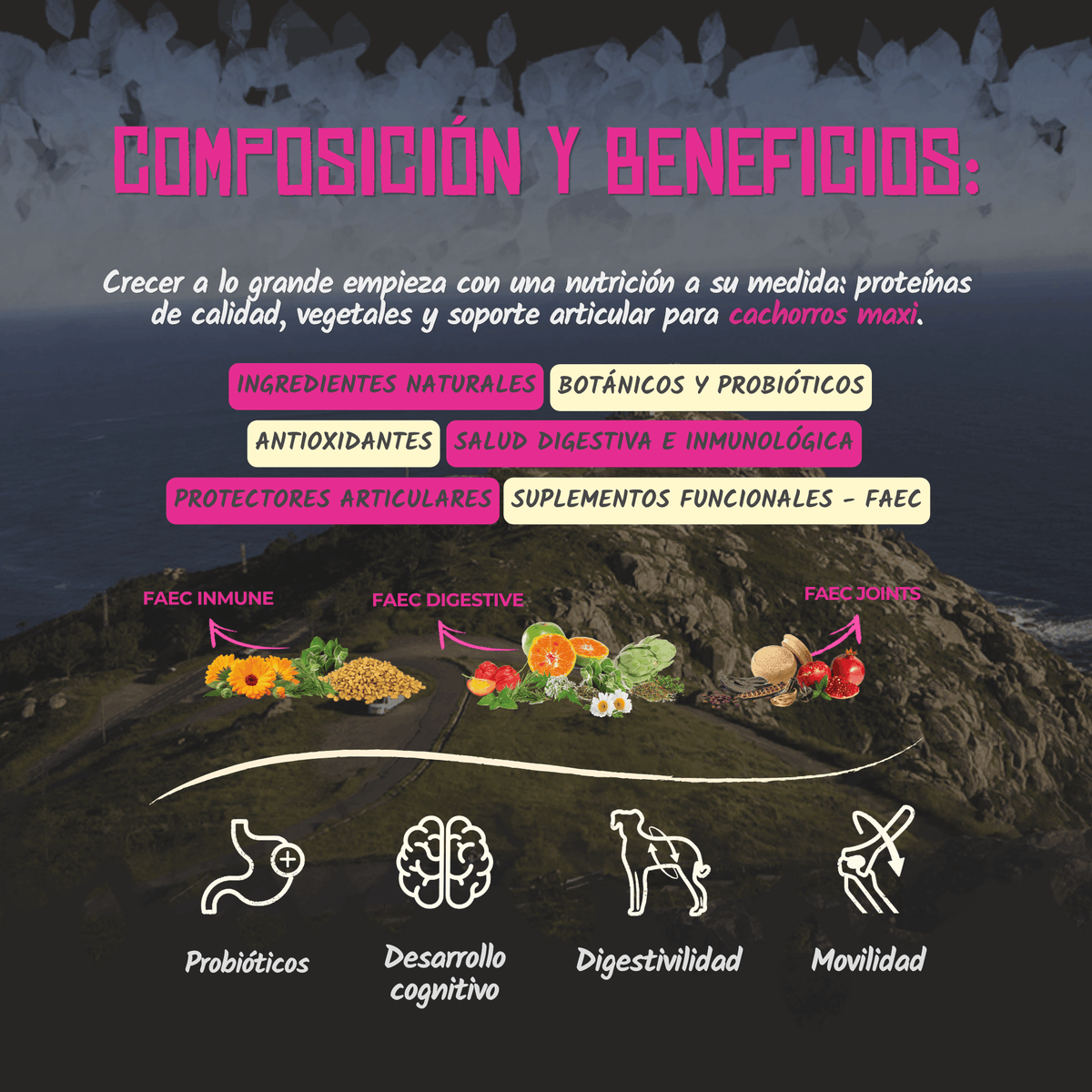 Composición y beneficios del pienso Lenda Puppy Maxi para cachorros, EAN 8435578201344