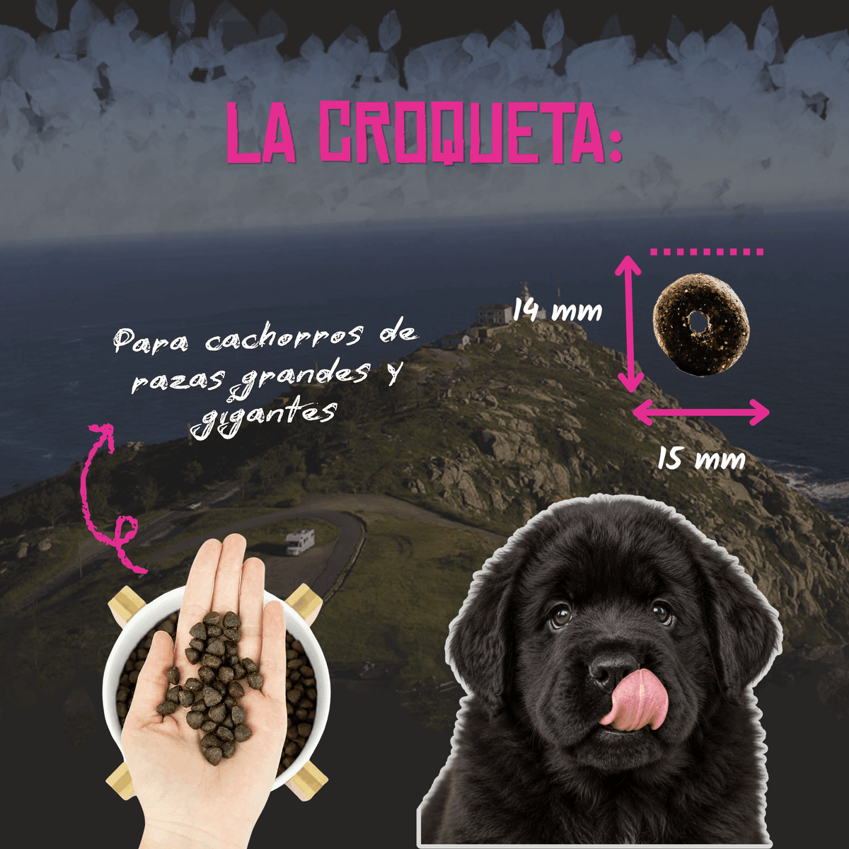 Croqueta de 14 x 15 mm del pienso Lenda Puppy Maxi para cachorros, EAN 8435578201344