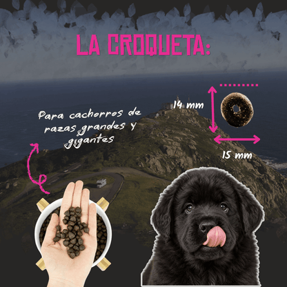 Croqueta de 14 x 15 mm del pienso Lenda Puppy Maxi para cachorros, EAN 8435578201344