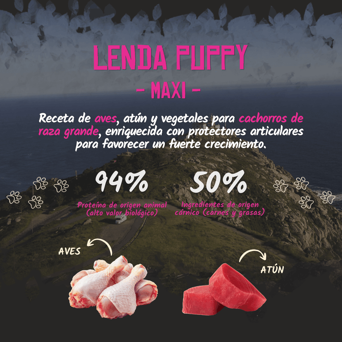 Infografía oficial del pienso Lenda Puppy Maxi para cachorros: aves y atún, EAN 8435578201344