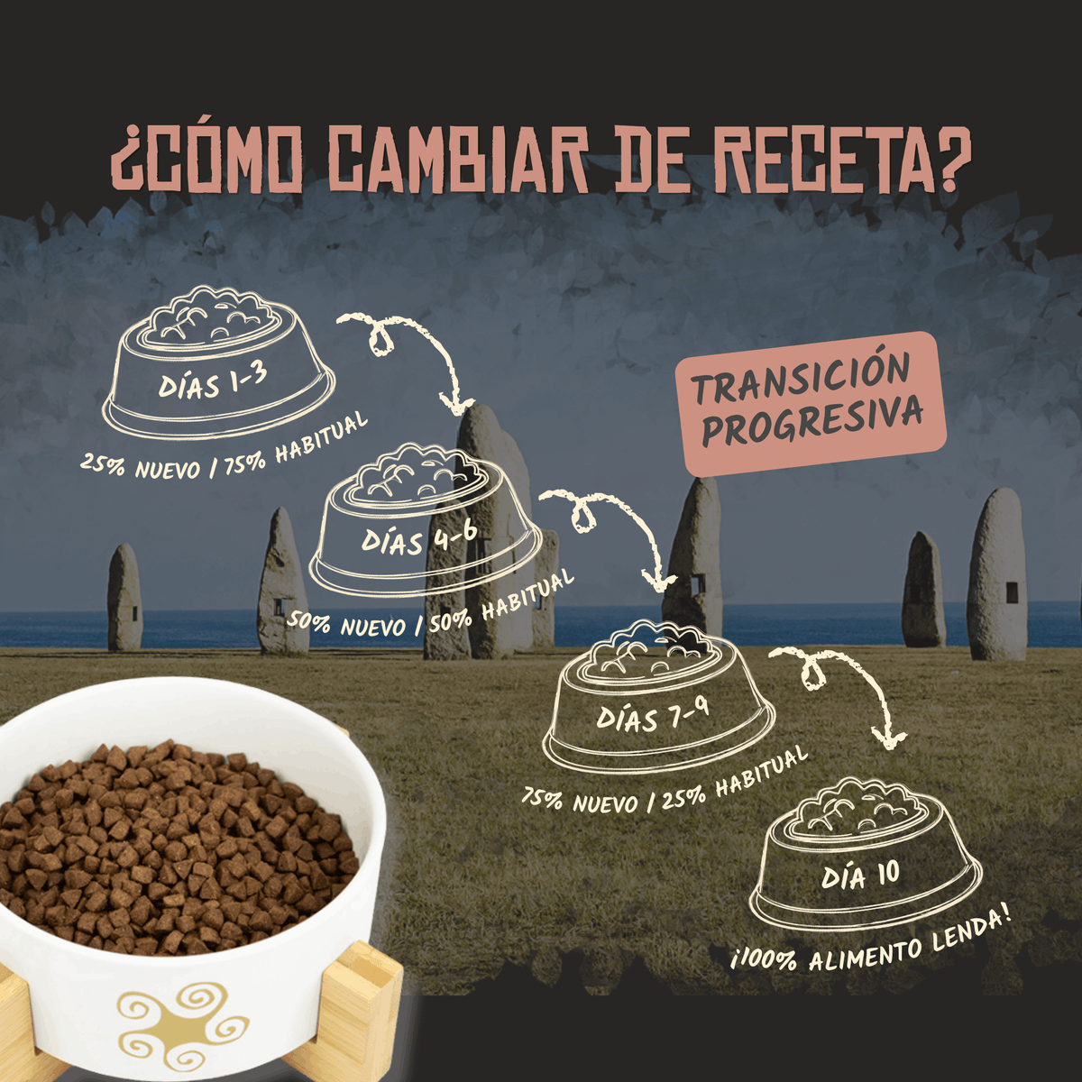 Guía oficial para cambiar de receta en diez días, EAN 8435578201528 y 8435578201412
