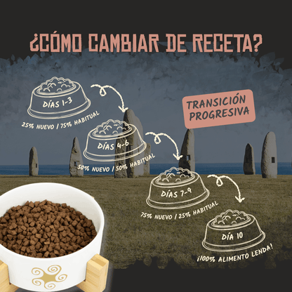 Guía oficial para cambiar de receta en diez días, EAN 8435578201528 y 8435578201412