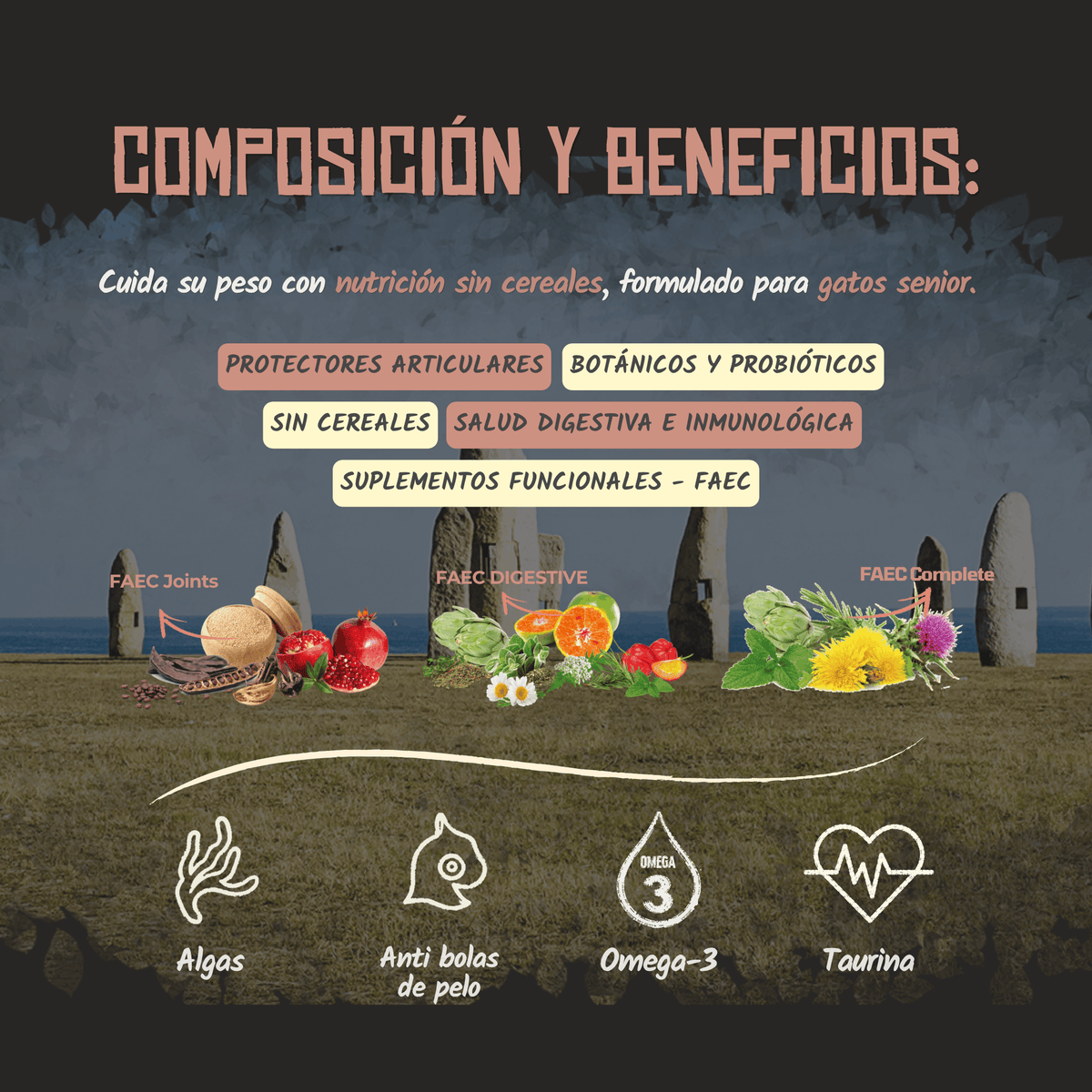 Composición y beneficios del pienso Lenda Senior Urinary para gatos, EAN 8435578201528 y 8435578201412