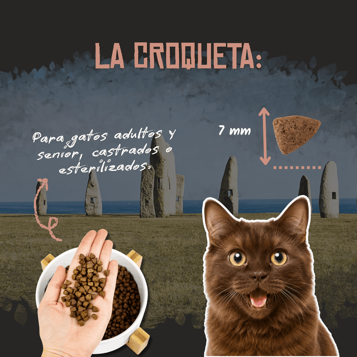 Croqueta de 7 mm del pienso Lenda Senior Urinary para gatos, EAN 8435578201528 y 8435578201412