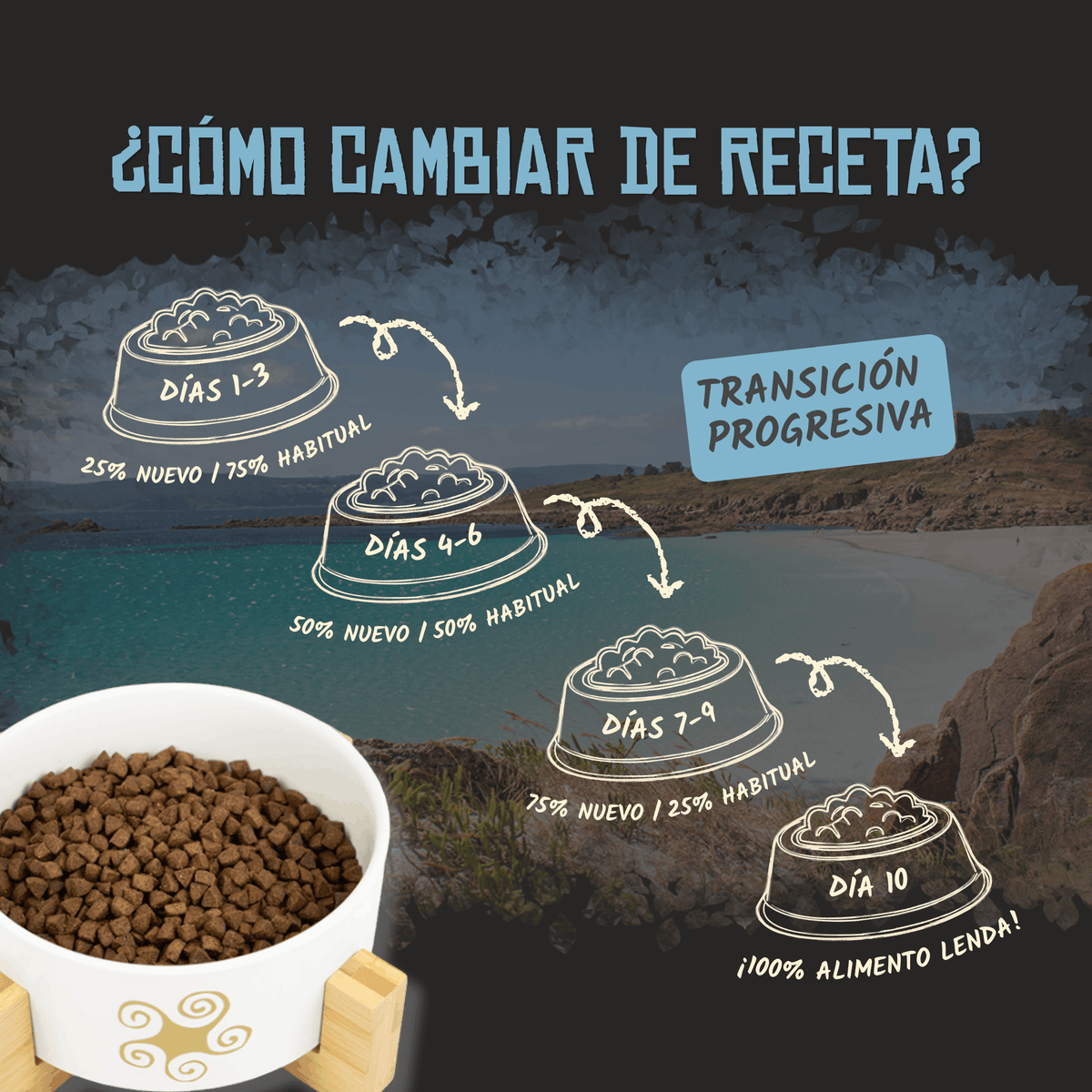 Guía oficial para cambiar de receta en diez días, EAN 8435578201535 y 8435578201795