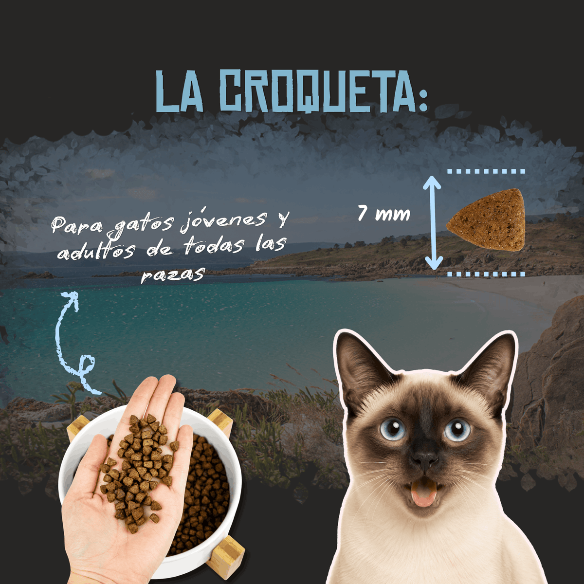 Croqueta de 7 mm del pienso Lenda Sensitive para gatos, EAN 8435578201535 y 8435578201795
