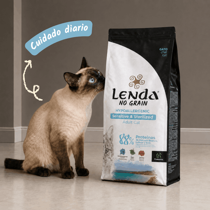Gato adulto junto al saco, EAN 8435578201535 y 8435578201795