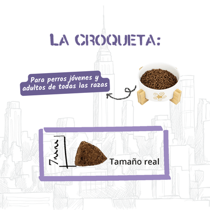 Croqueta del pienso Lenda Urban Indoor para gatos a tamaño real, EAN 8435578201610 y 8435578201627