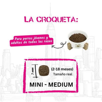Croqueta Mini-Medium de 7 mm del pienso Lenda Urban para cachorros, EAN 8435578201702 y 8435578201641