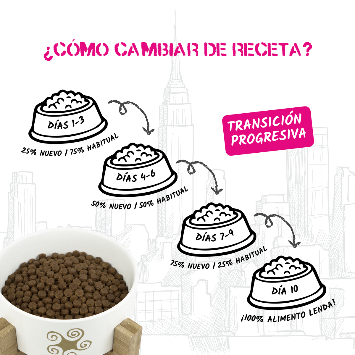 Guía oficial para cambiar de receta en diez días, EAN 8435578201702 y 8435578201641
