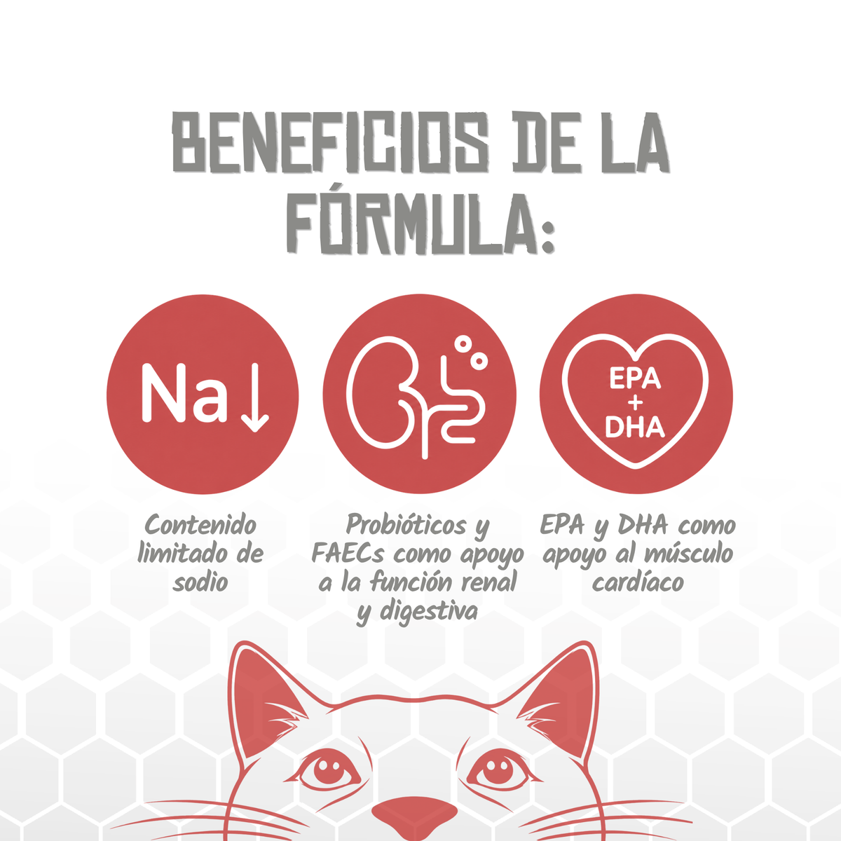 Iconos de sodio limitado, probióticos y EPA + DHA de la receta, EAN 8435578250274