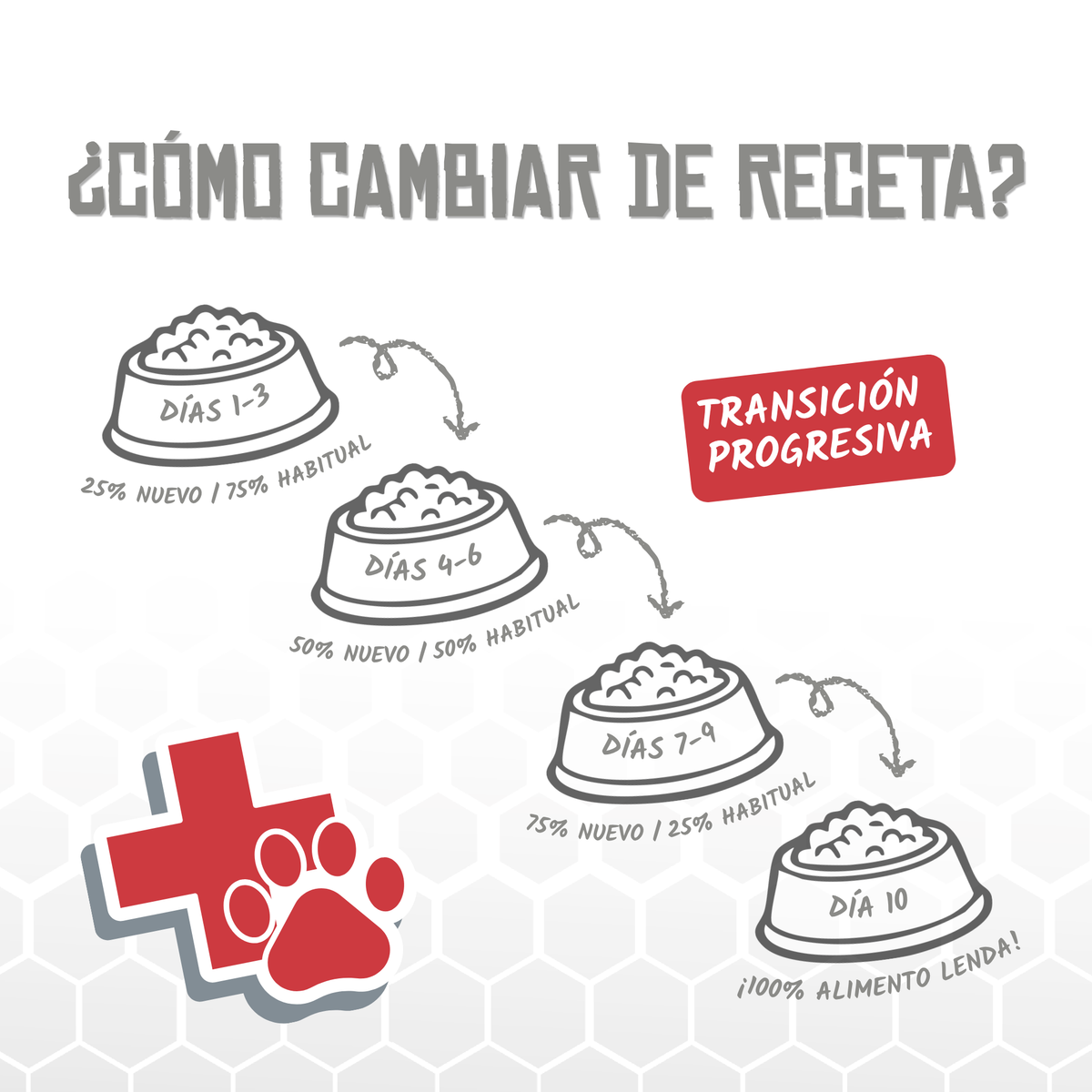 Guía de cambio de receta en diez días, EAN 8435578250274