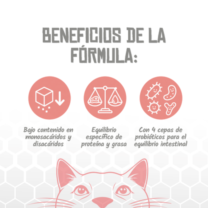 Iconos de pocos azúcares simples, proteína y grasa y probióticos, EAN 8435578250281