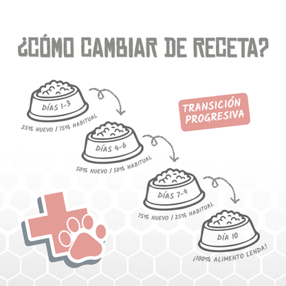 Guía de cambio de receta en diez días, EAN 8435578250281
