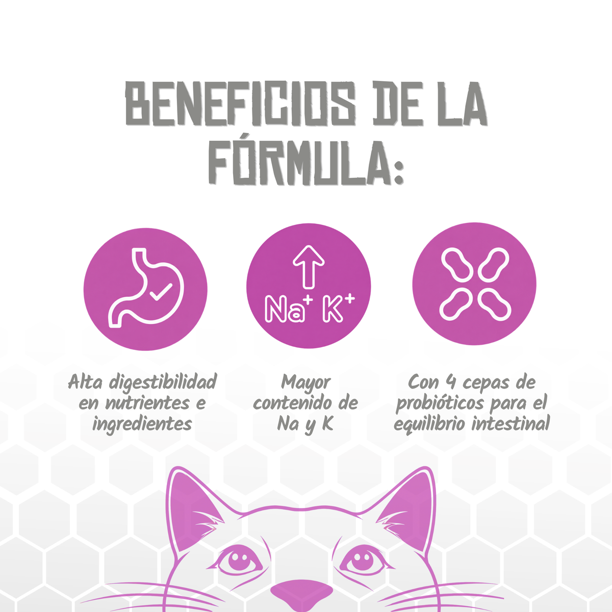 Iconos de alta digestibilidad, sodio y potasio y probióticos, EAN 8435578250229