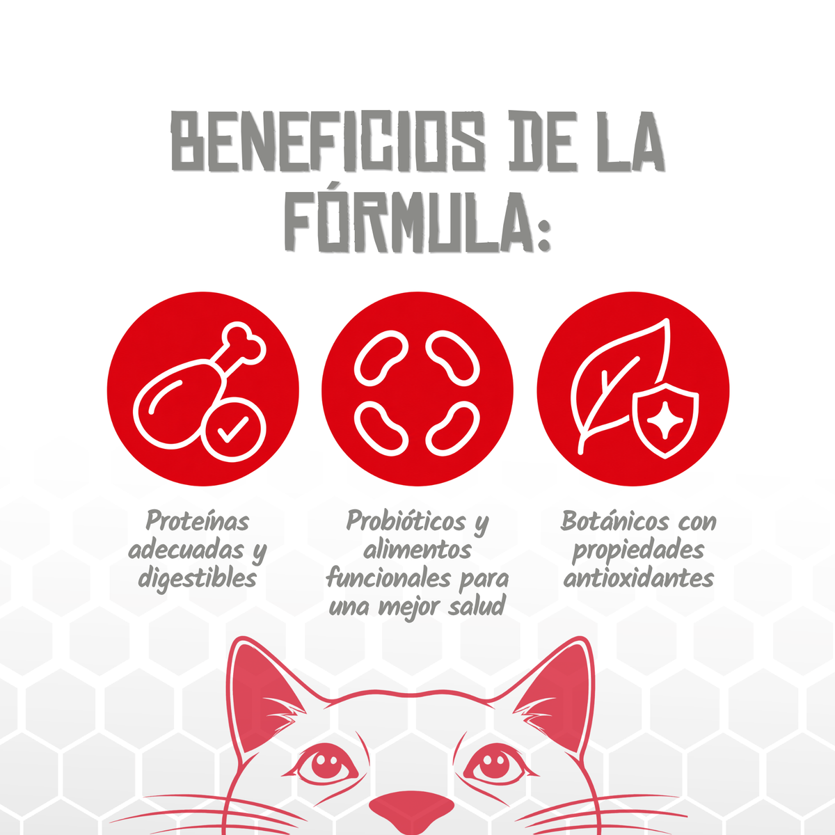 Iconos de proteínas digestibles, probióticos y botánicos antioxidantes, EAN 8435578250236
