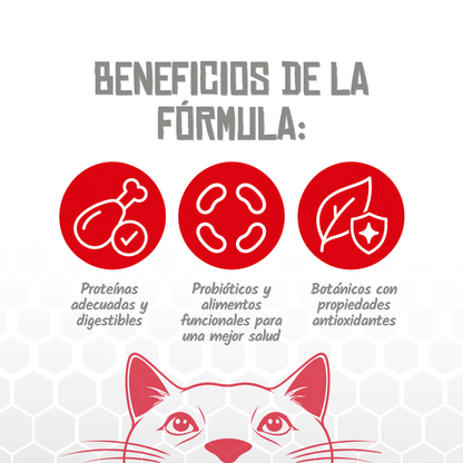 Iconos de proteínas digestibles, probióticos y botánicos antioxidantes, EAN 8435578250236