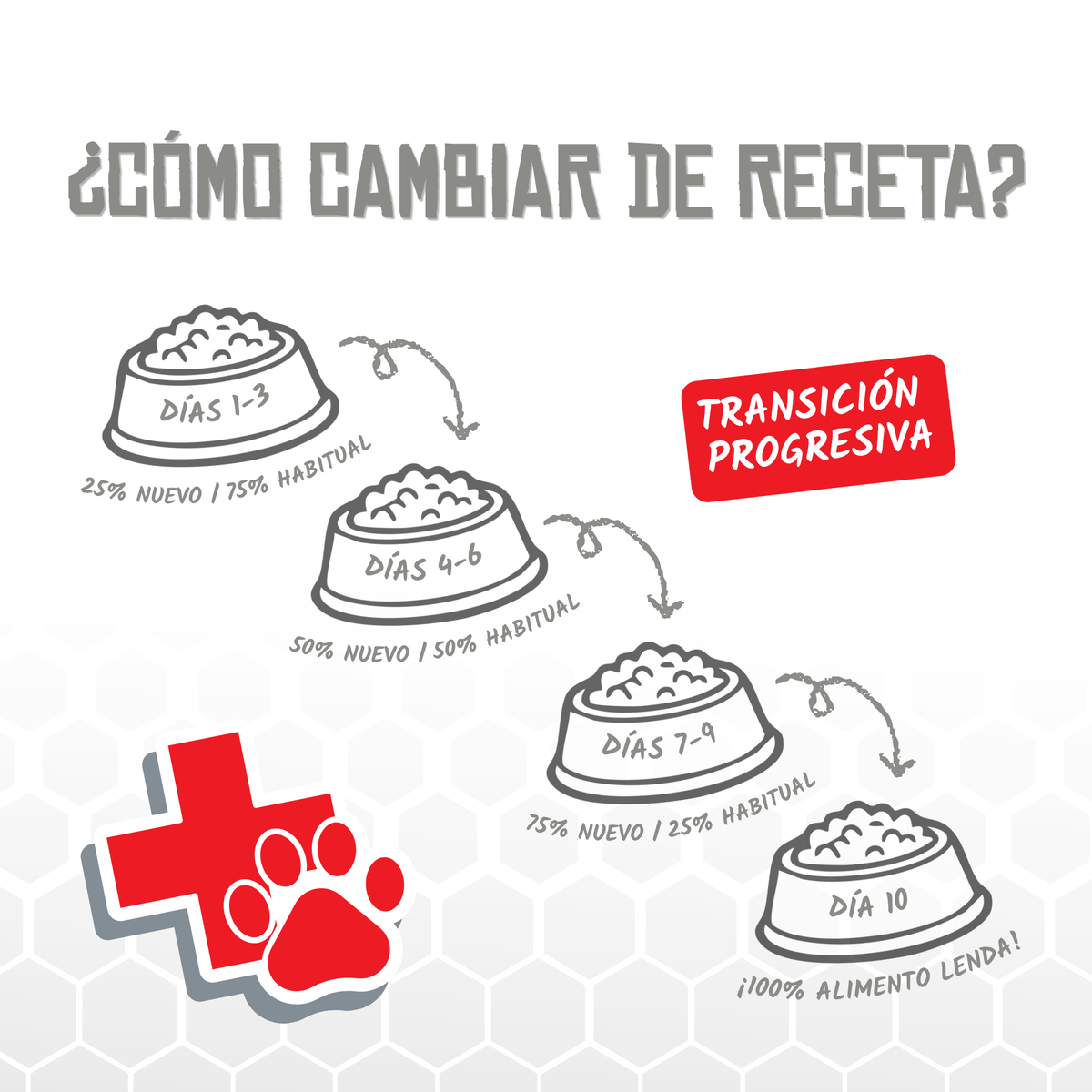 Guía de cambio de receta en diez días, EAN 8435578250236
