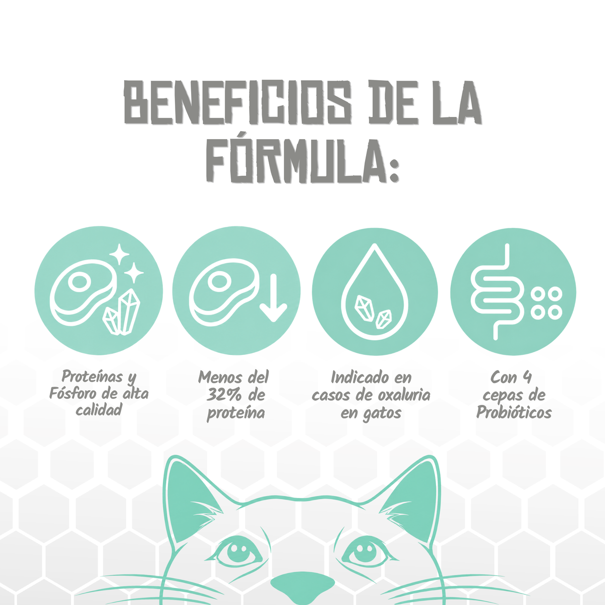 Iconos de proteína y fósforo de calidad, oxaluria y probióticos, EAN 8435578250243