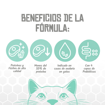 Iconos de proteína y fósforo de calidad, oxaluria y probióticos, EAN 8435578250243