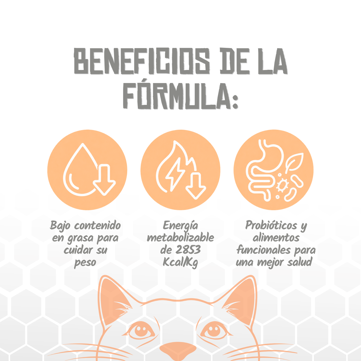 Iconos de grasa baja, energía y probióticos, EAN 8435578250250