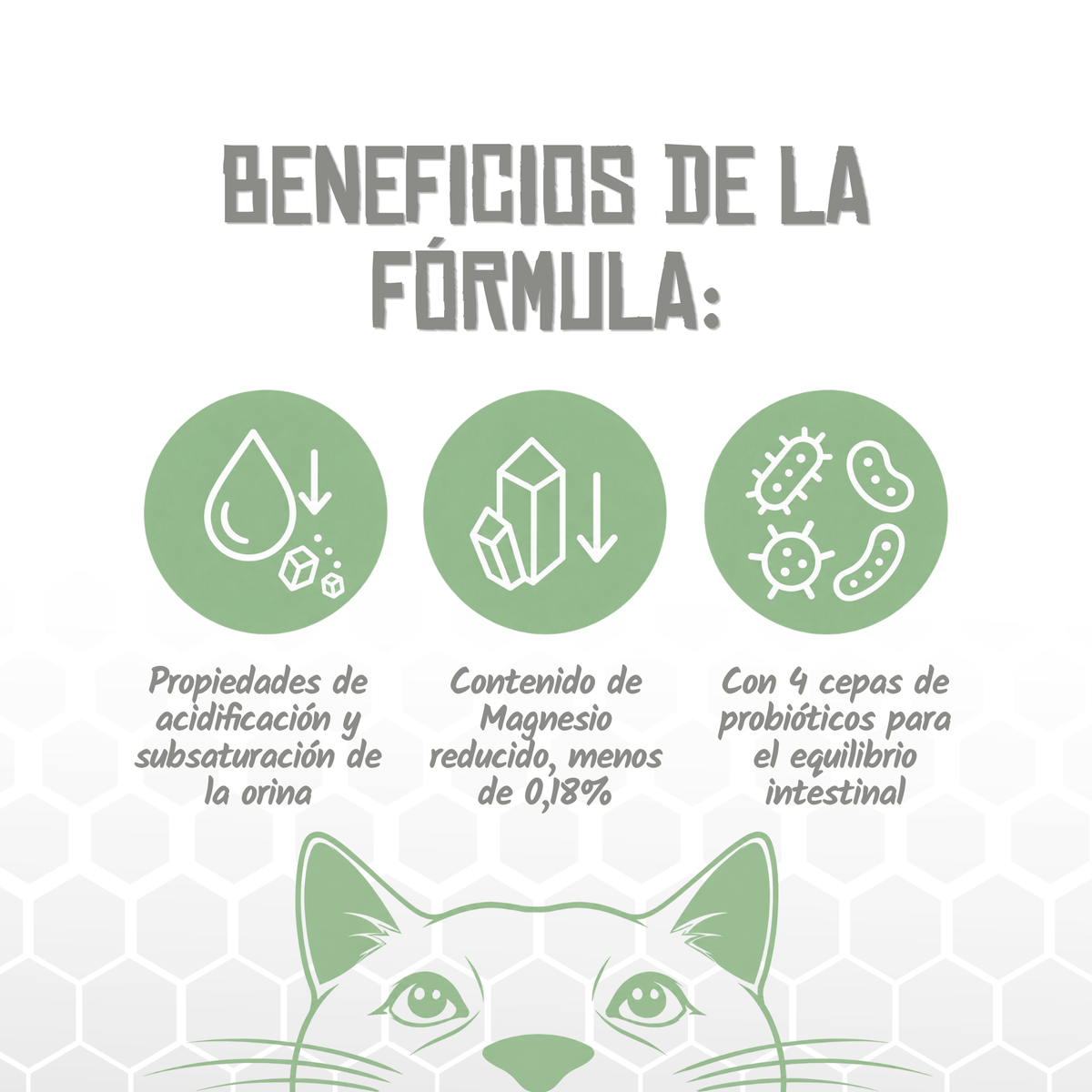 Iconos de acidificación, magnesio reducido y probióticos, EAN 8435578250267