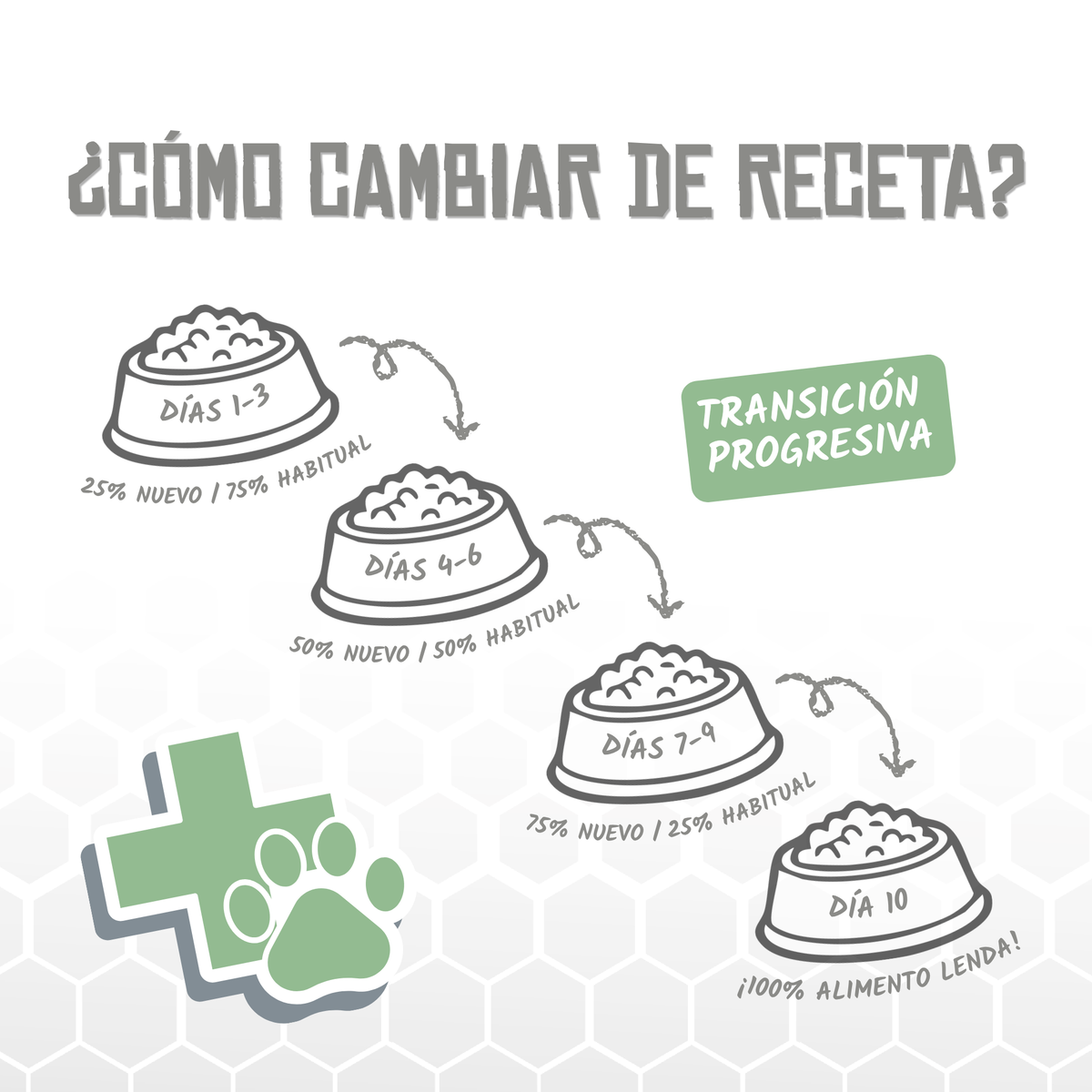 Guía de cambio de receta en diez días, EAN 8435578250267