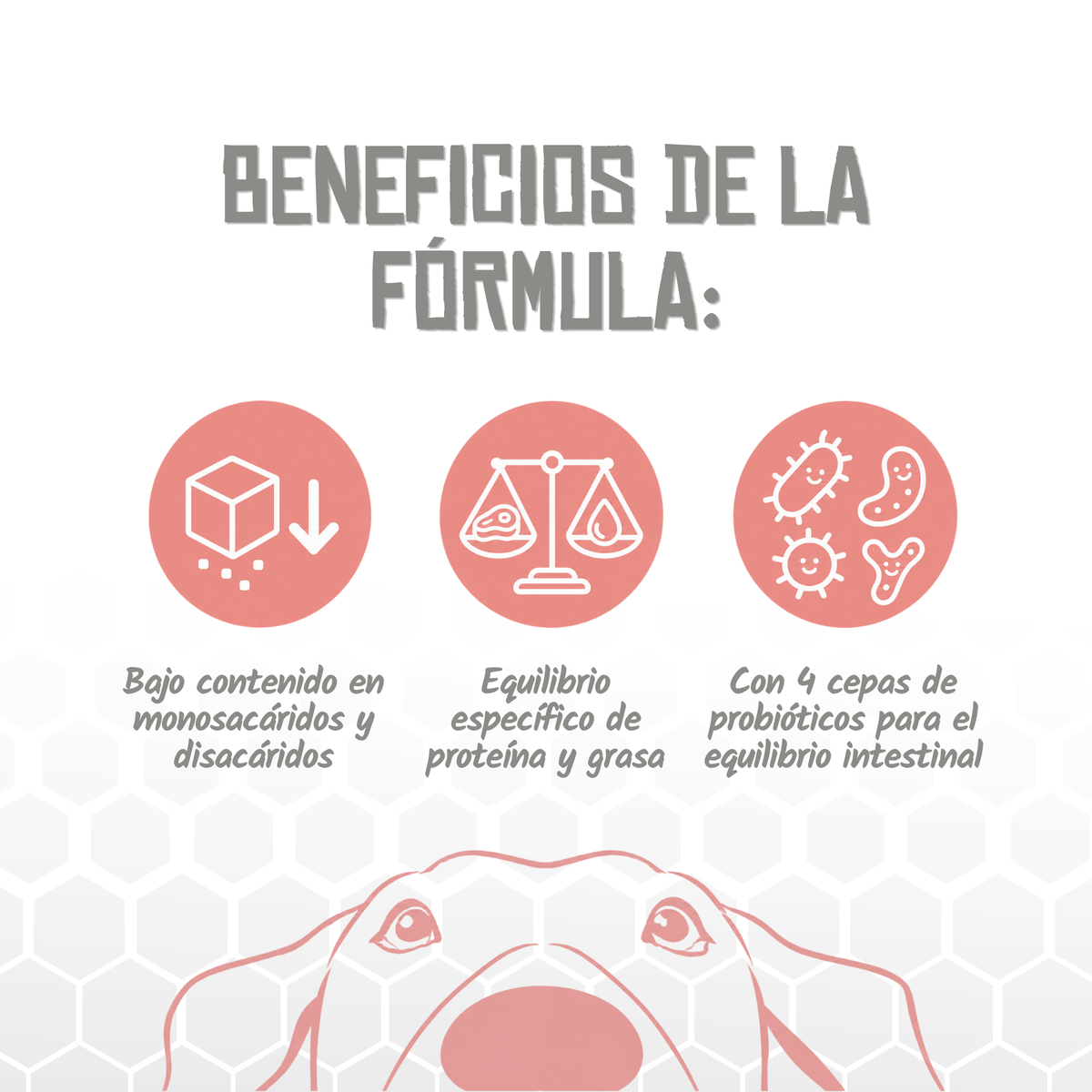 Iconos de beneficios de la fórmula Diabetic de Lenda, EAN 8435578250083 / 8435578250090