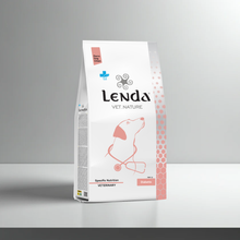 Saco del pienso Lenda Vet Diabetic para perros, formatos de 2 y 10 kg, EAN 8435578250083 / 8435578250090