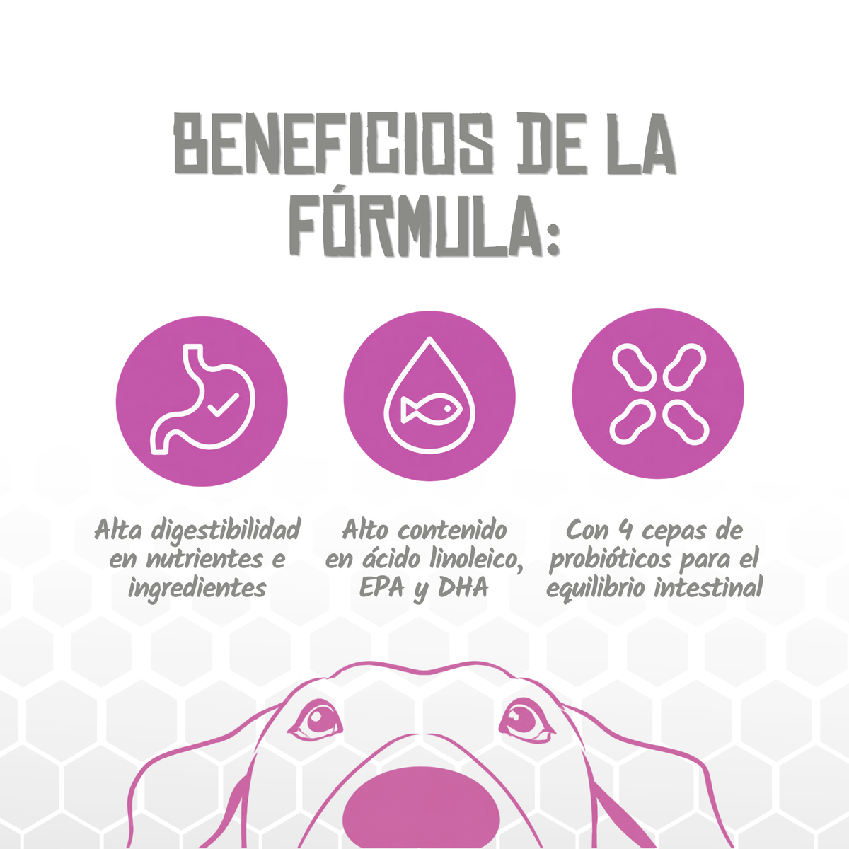 Iconos de beneficios de la fórmula Gastro and Atopic de Lenda, EAN 8435578250021 / 8435578250038