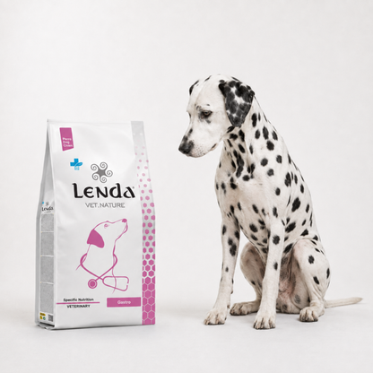Dálmata sentado junto al saco Vet Nature digestivo y dermatológico, EAN 8435578250021 / 8435578250038