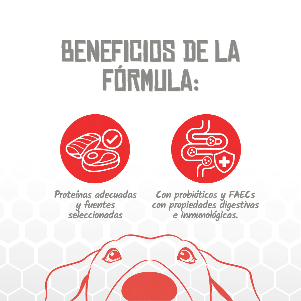 Iconos de beneficios de la fórmula Hepatic de Lenda, EAN 8435578250168 / 8435578250175