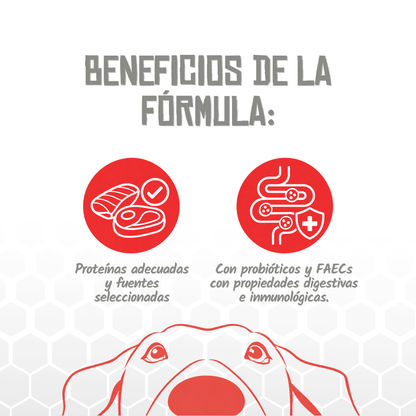 Iconos de beneficios de la fórmula Hepatic de Lenda, EAN 8435578250168 / 8435578250175